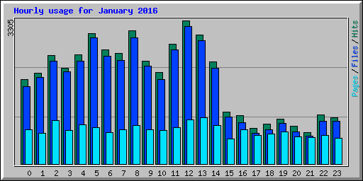 Hourly usage for January 2016