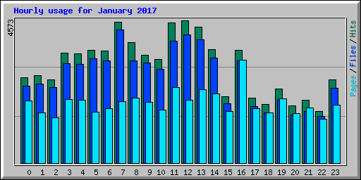 Hourly usage for January 2017