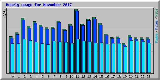 Hourly usage for November 2017