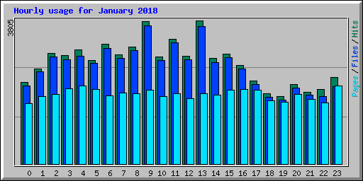 Hourly usage for January 2018