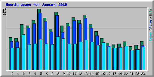 Hourly usage for January 2019