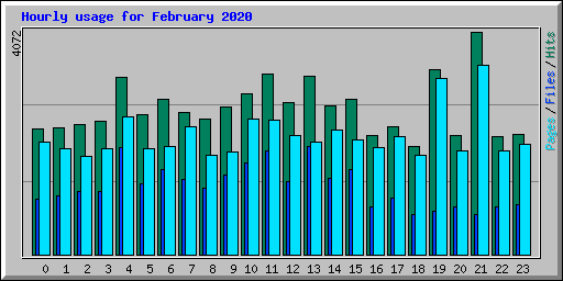 Hourly usage for February 2020