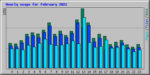 Hourly usage for February 2021